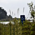 handicap-access-sign