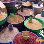 nutriafrica
