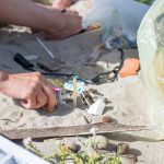 beach litter