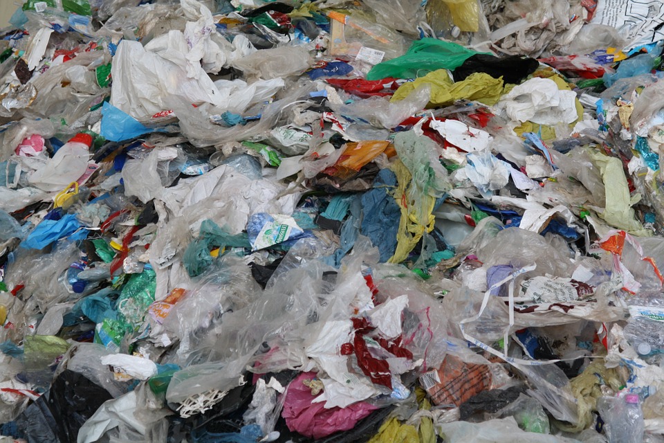 12 settembre: giornata senza sacchetti di plastica, guardando al futuro -  Assoutenti Nazionale APS - Tutela i diritti dei consumatori