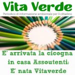 Vita Verde