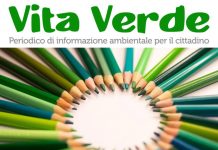 vita verde