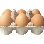 cartone uova