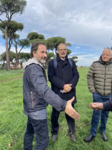 un albero per il pineto