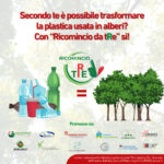 aacc Trasformare plastica in alberi