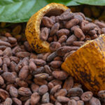 uova di cioccolata