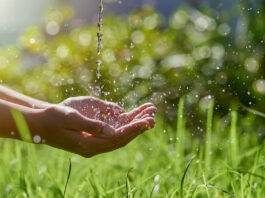 importanza dell'acqua