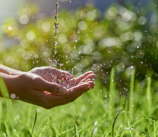 importanza dell'acqua