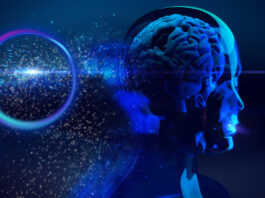 Meta AI