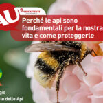 api vita proteggerle (2)