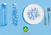 microplastiche negli alimenti