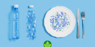 microplastiche negli alimenti