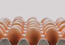 Attenzione alle partite di uova richiamate: cosa sapere per tutelarti