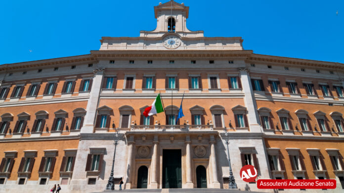 audizione senato